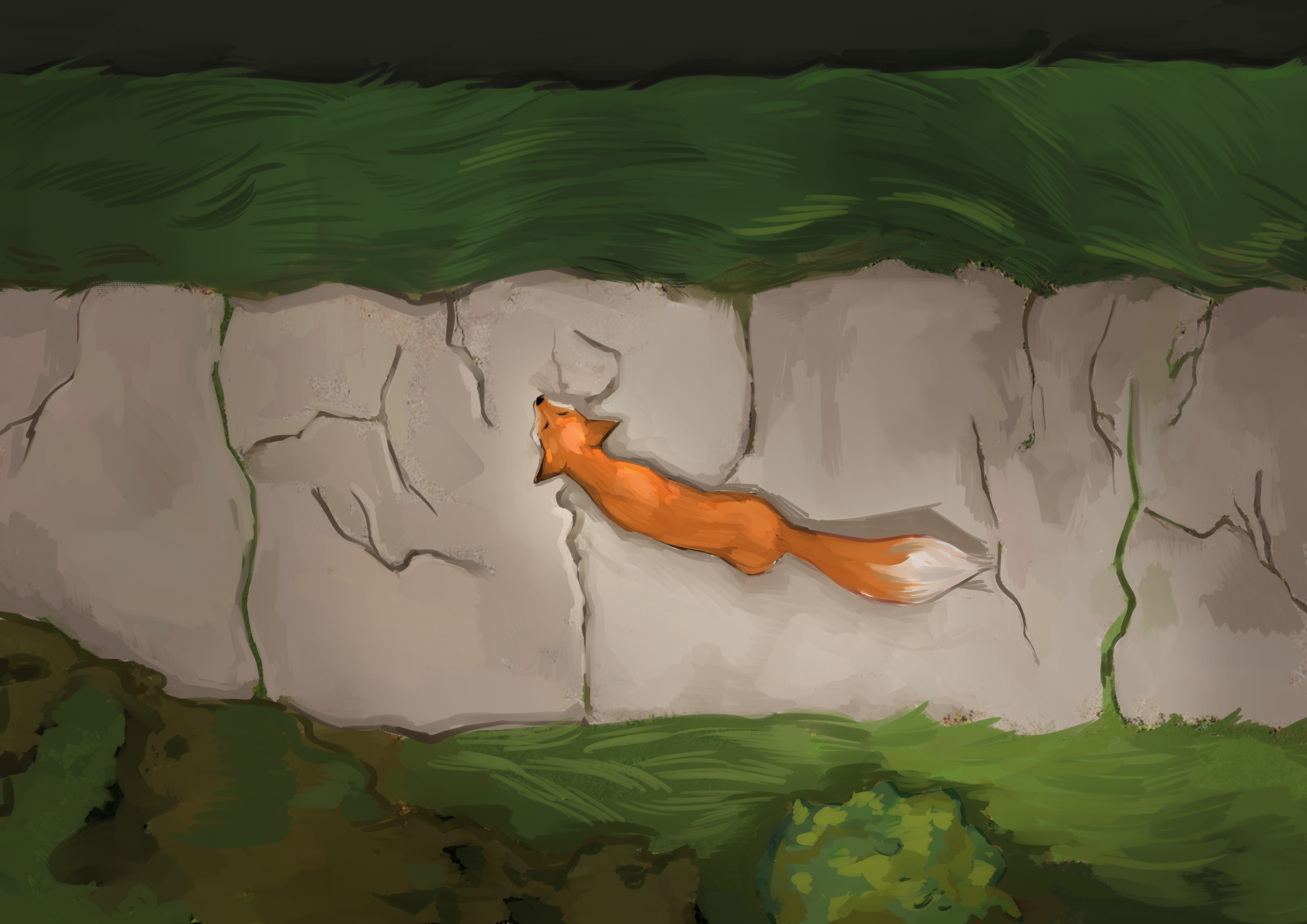 Fox from bird's eye view, walking along a sidewalk