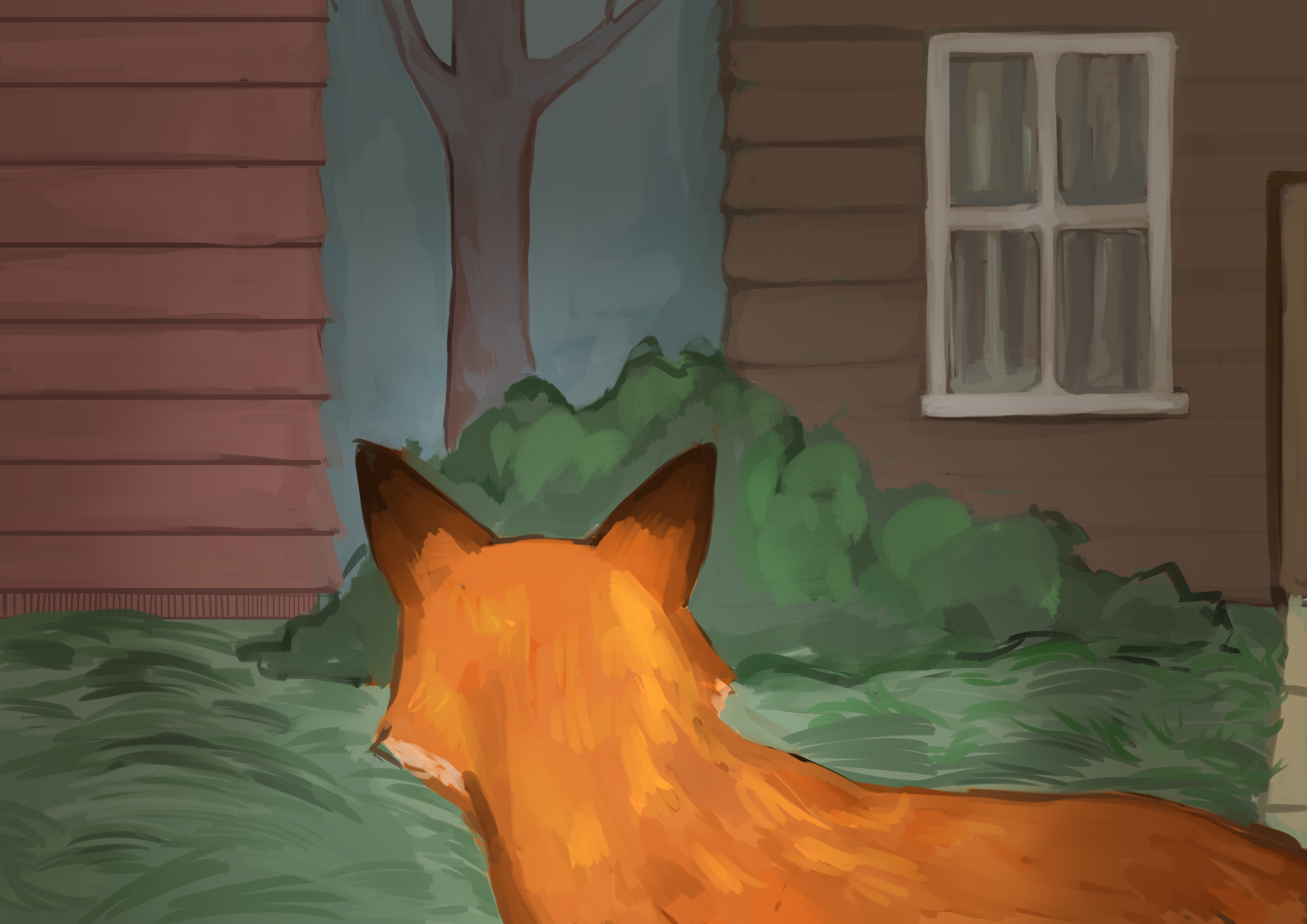 Fox head staring at houses