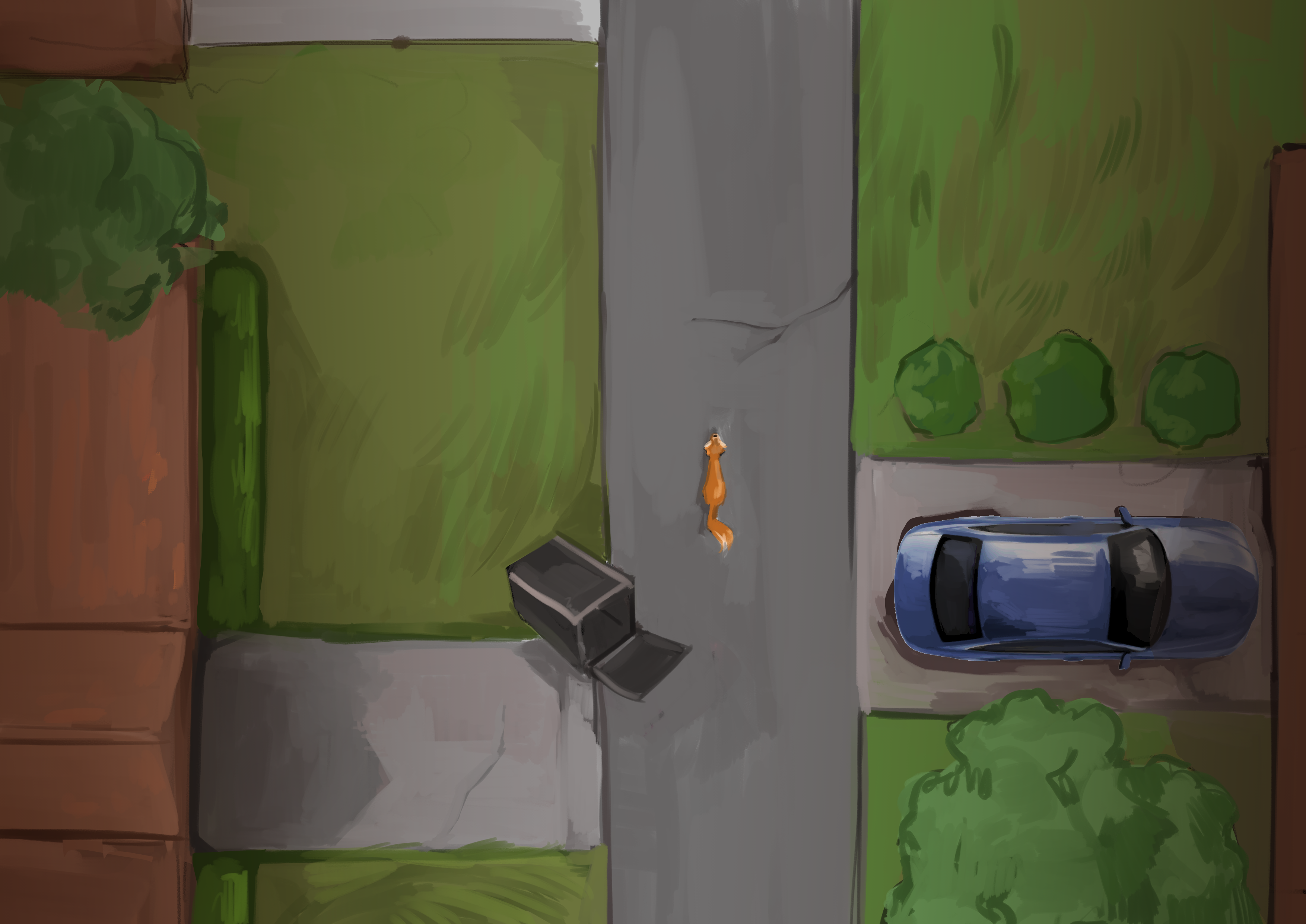 Fox in suburbs from the sky