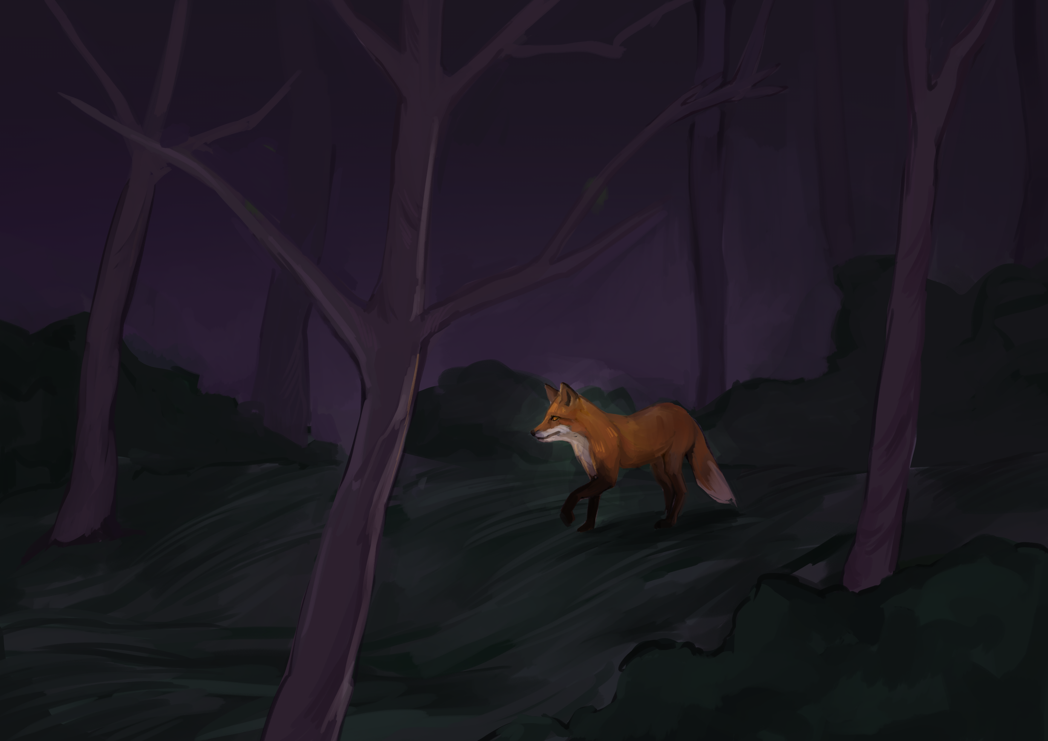 Fox stalking through the woods
