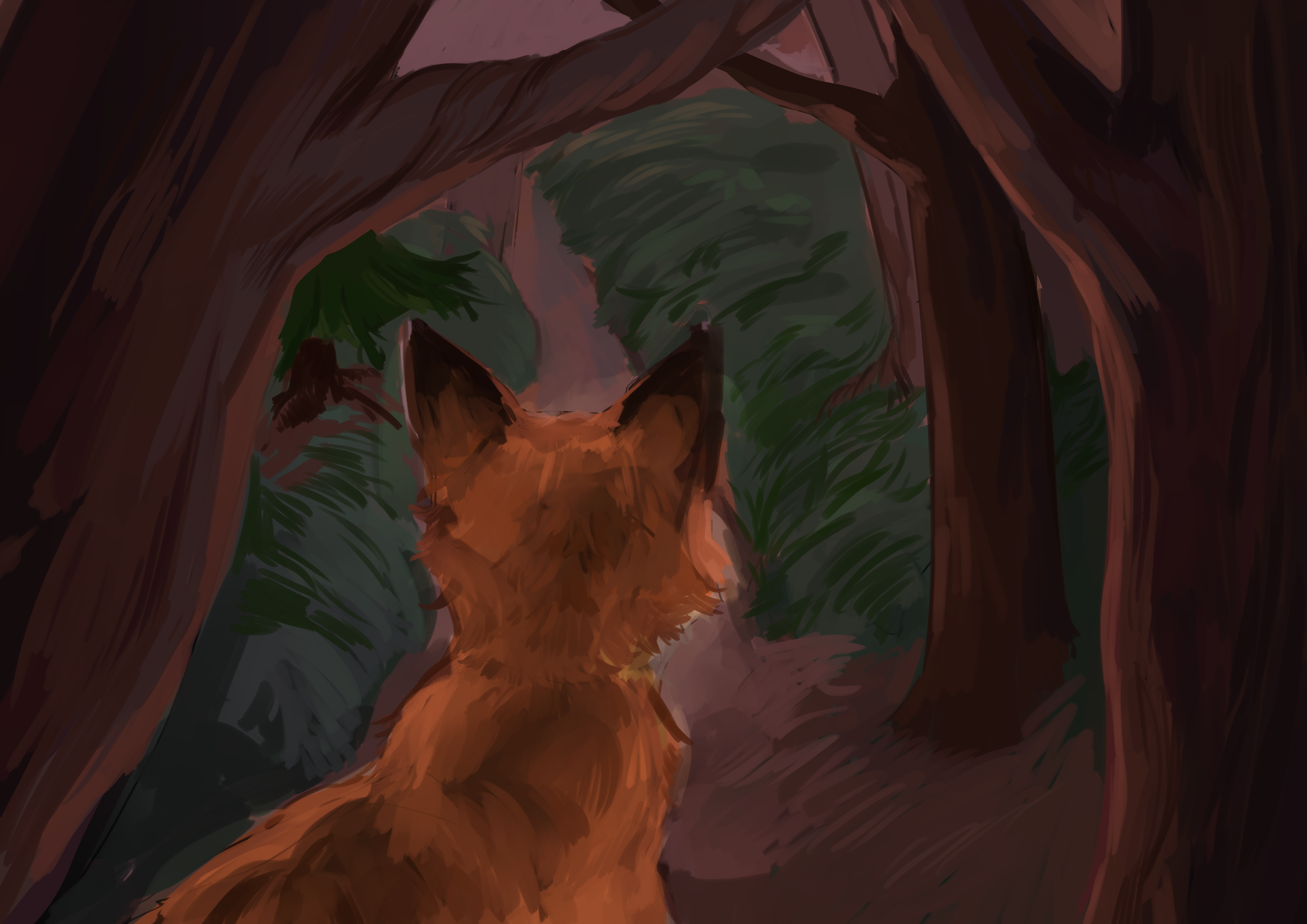 Fox looking out from forest