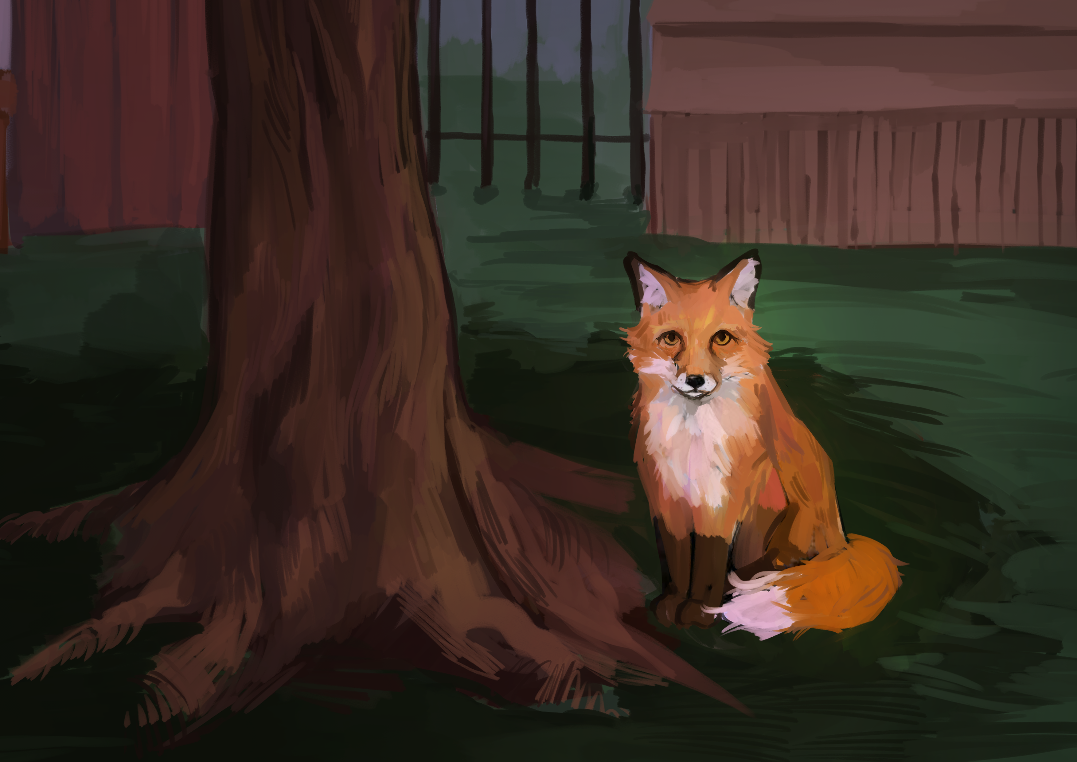 Fox sleeping under a tree
