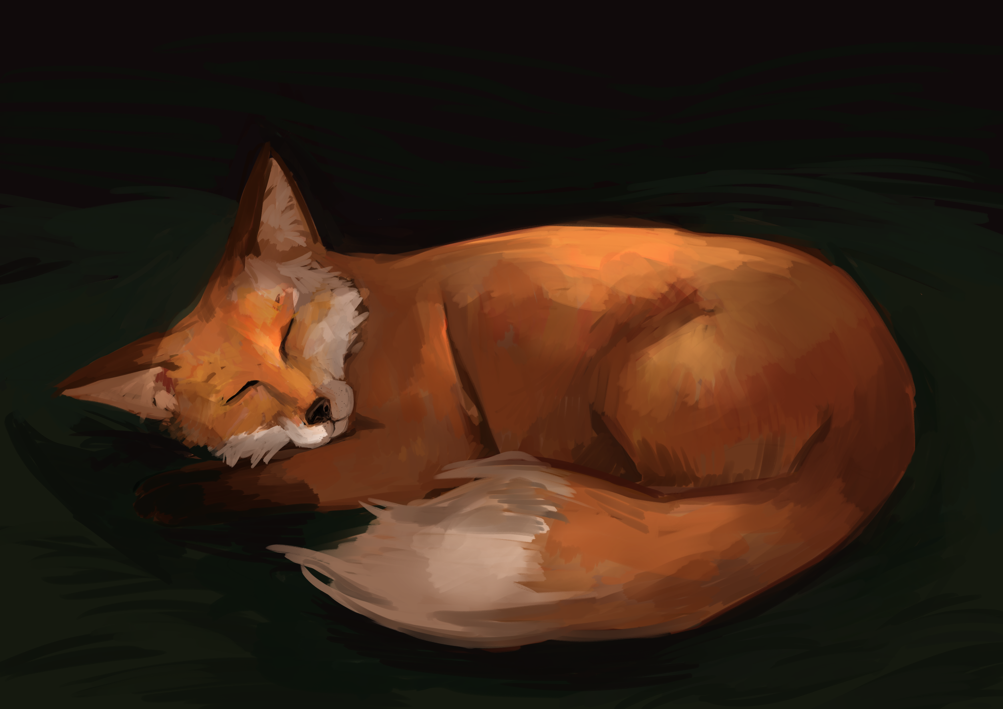 Drawing of a sleeping fox