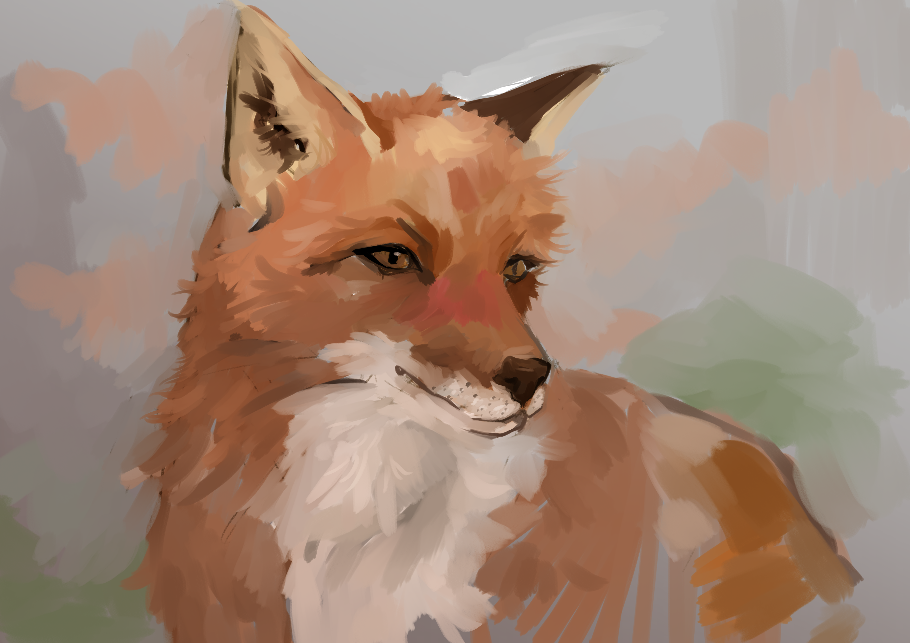 Drawing of fox facing forward
